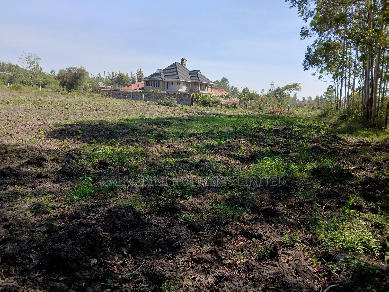 Very Prime Half Acre Land in Rimpa, Rongai Near Muthaura's Place in Rimpa