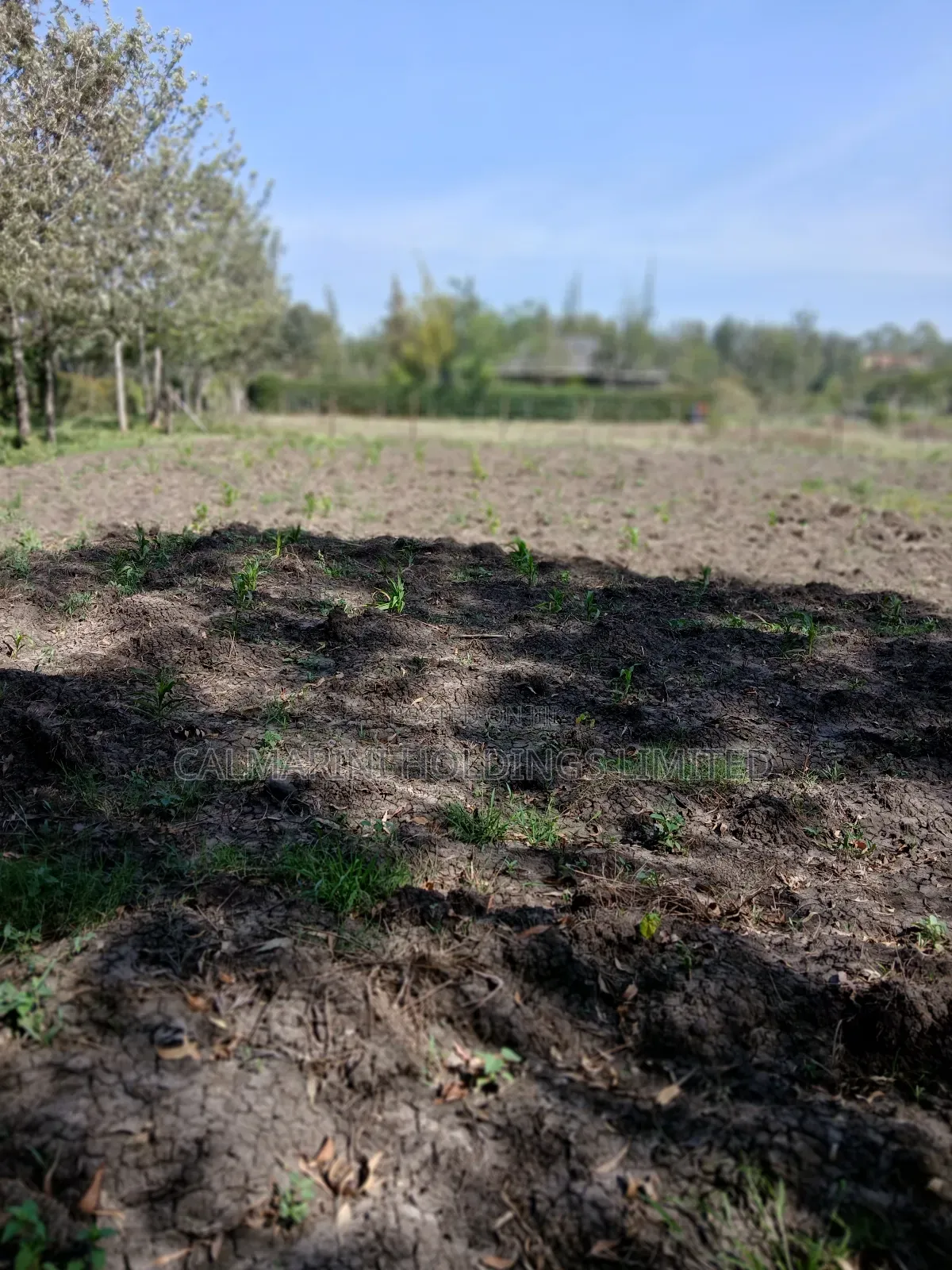 Deal! 100 by 100 Plot in Rimpa, Ongata Rongai Near Muthaura's Place in Rimpa