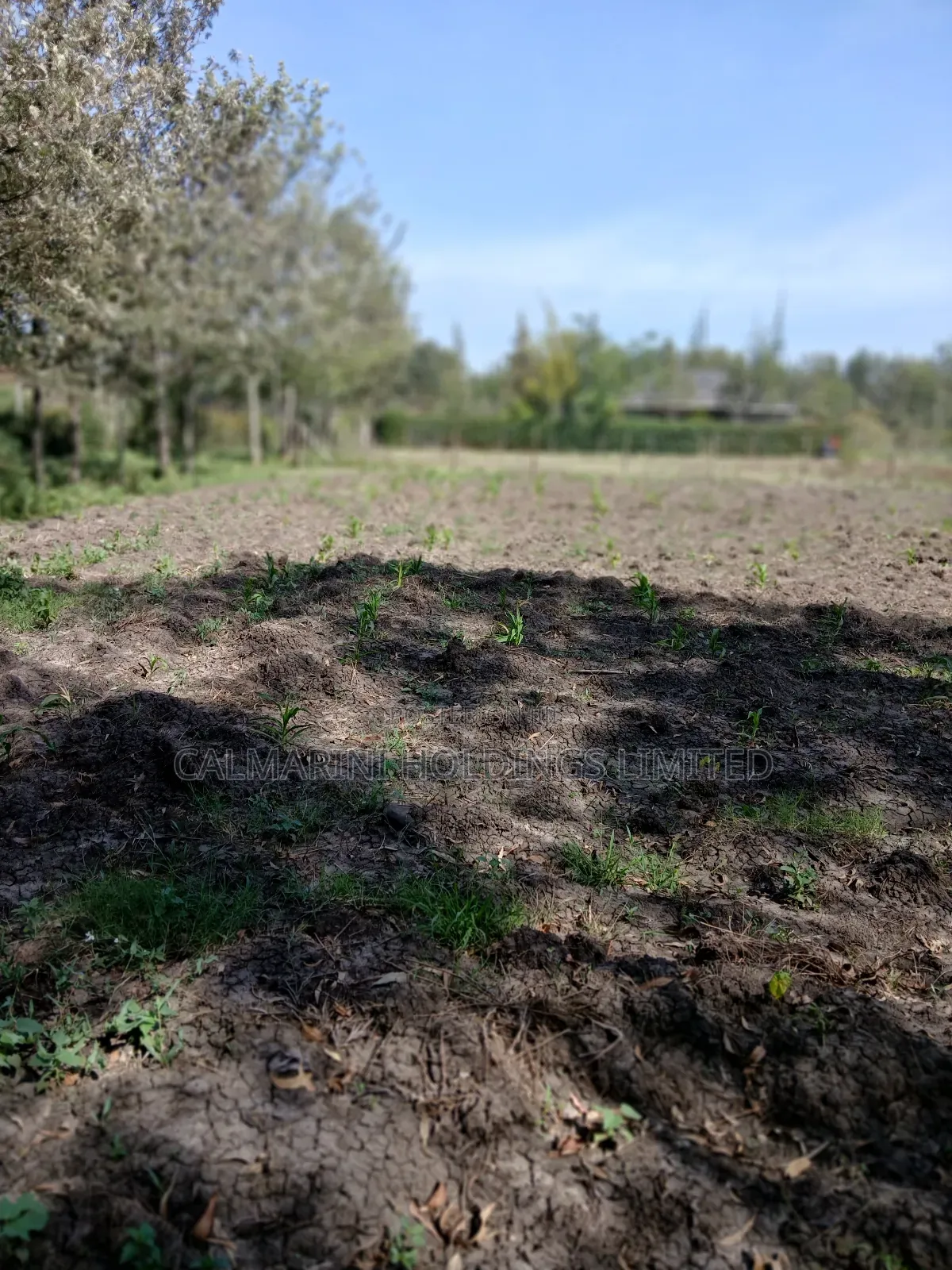 Deal! 100 by 100 Plot in Rimpa, Ongata Rongai Near Muthaura's Place in Rimpa