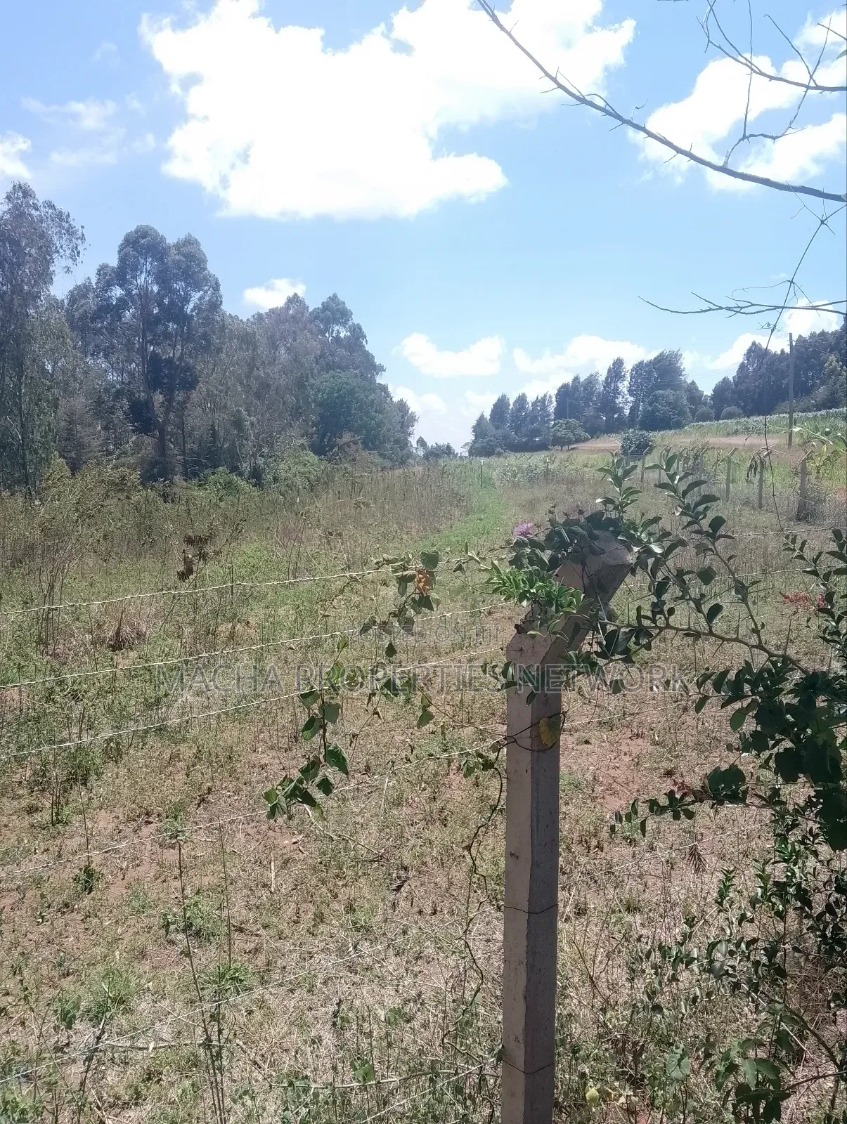 1/2 an Acre Mua Hills at the Peak Fronting Tarmac in Mua Hills