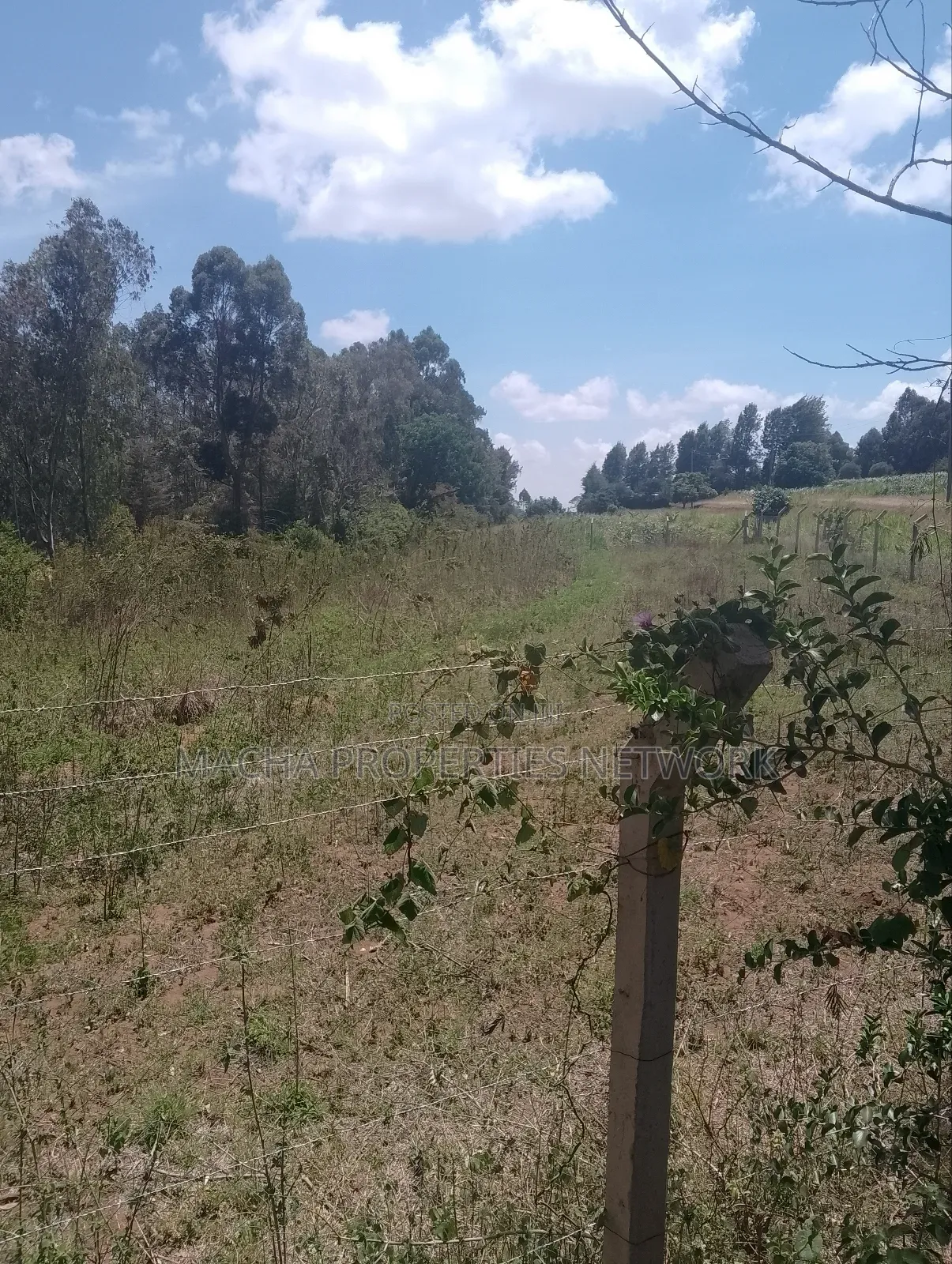 1/2 an Acre Mua Hills at the Peak Fronting Tarmac in Mua Hills