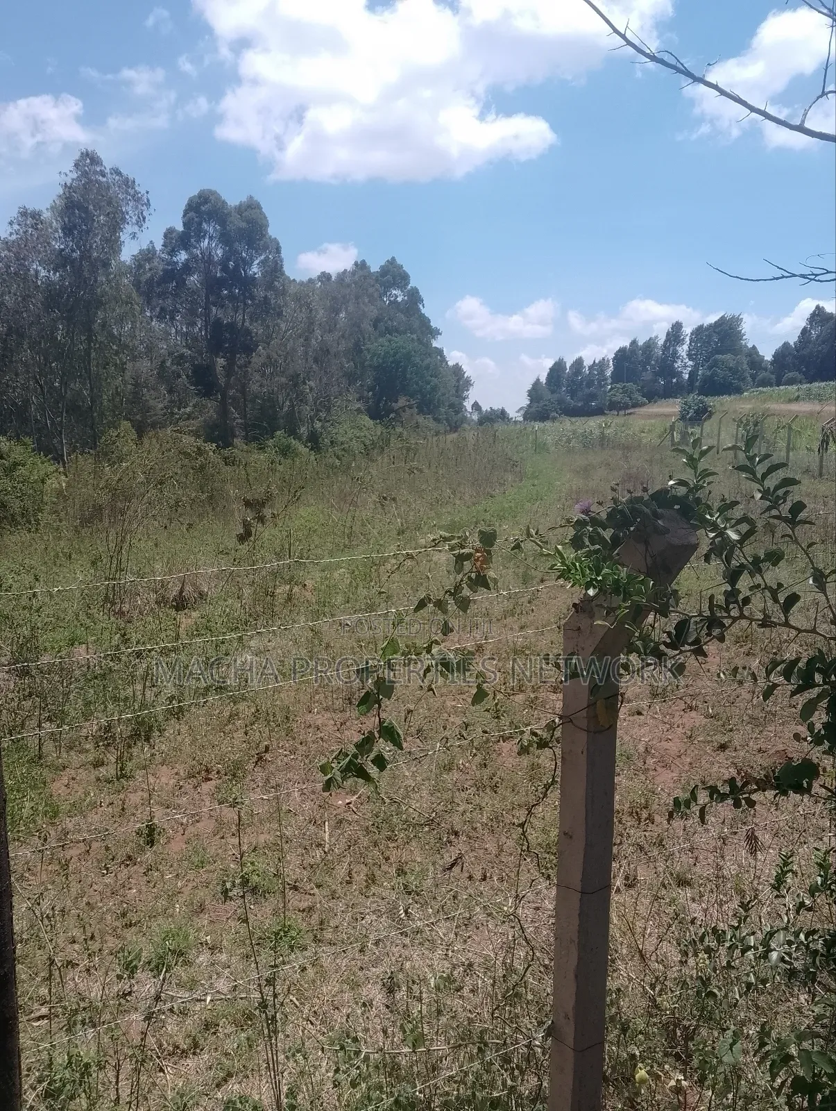 1/2 an Acre Mua Hills at the Peak Fronting Tarmac in Mua Hills