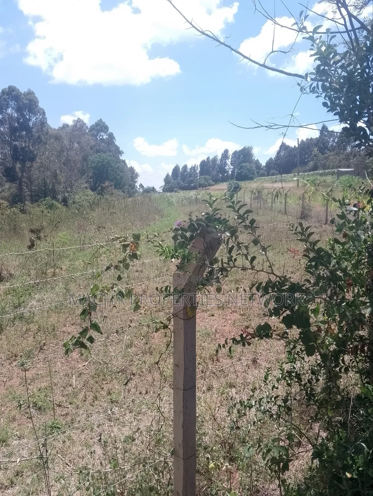 1/2 an Acre Mua Hills at the Peak Fronting Tarmac in Mua Hills