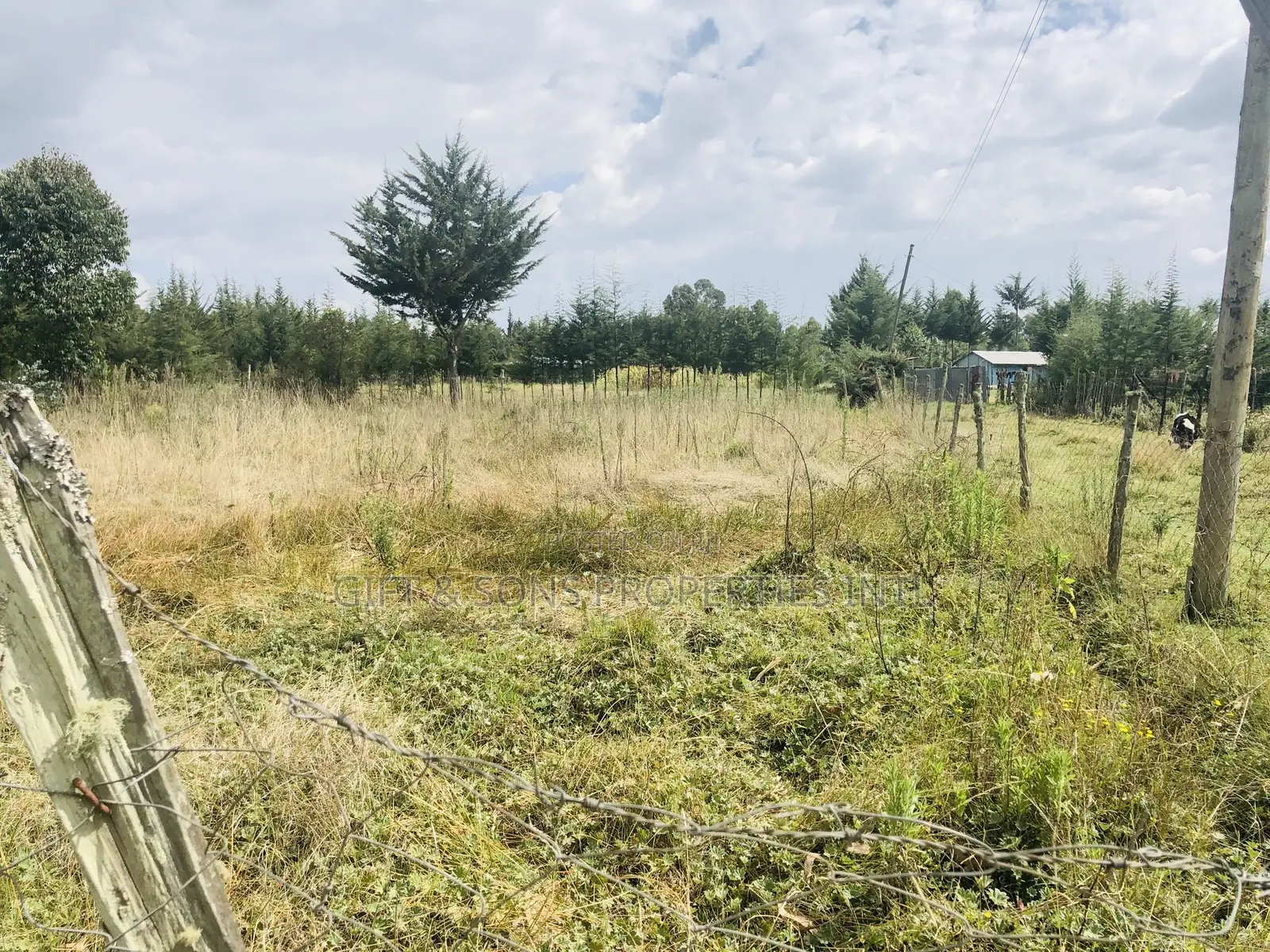 Quarter Acre Land for Sale Fronting the Tarmac in Kinangop in Murungaru