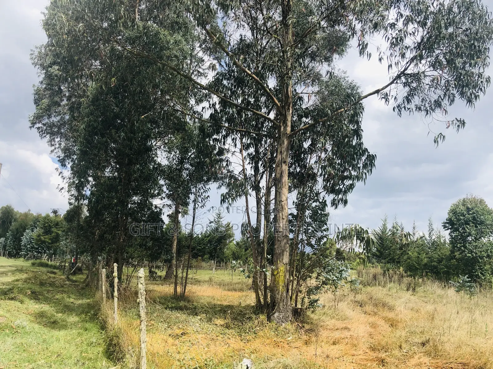 Quarter Acre Land for Sale Fronting the Tarmac in Kinangop in Murungaru