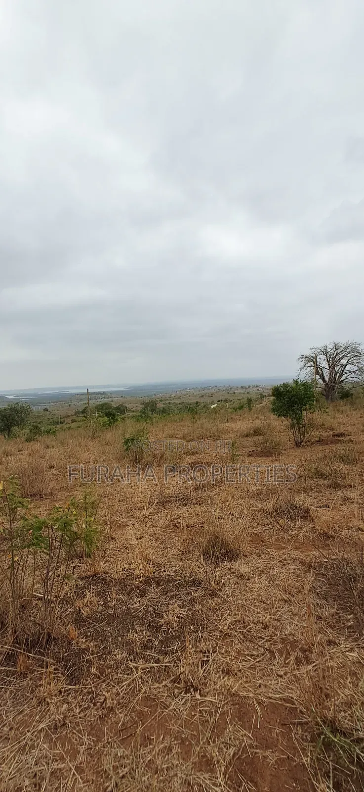For Sale 3 Acres Prime Land Bonje Mazeras in Miritini