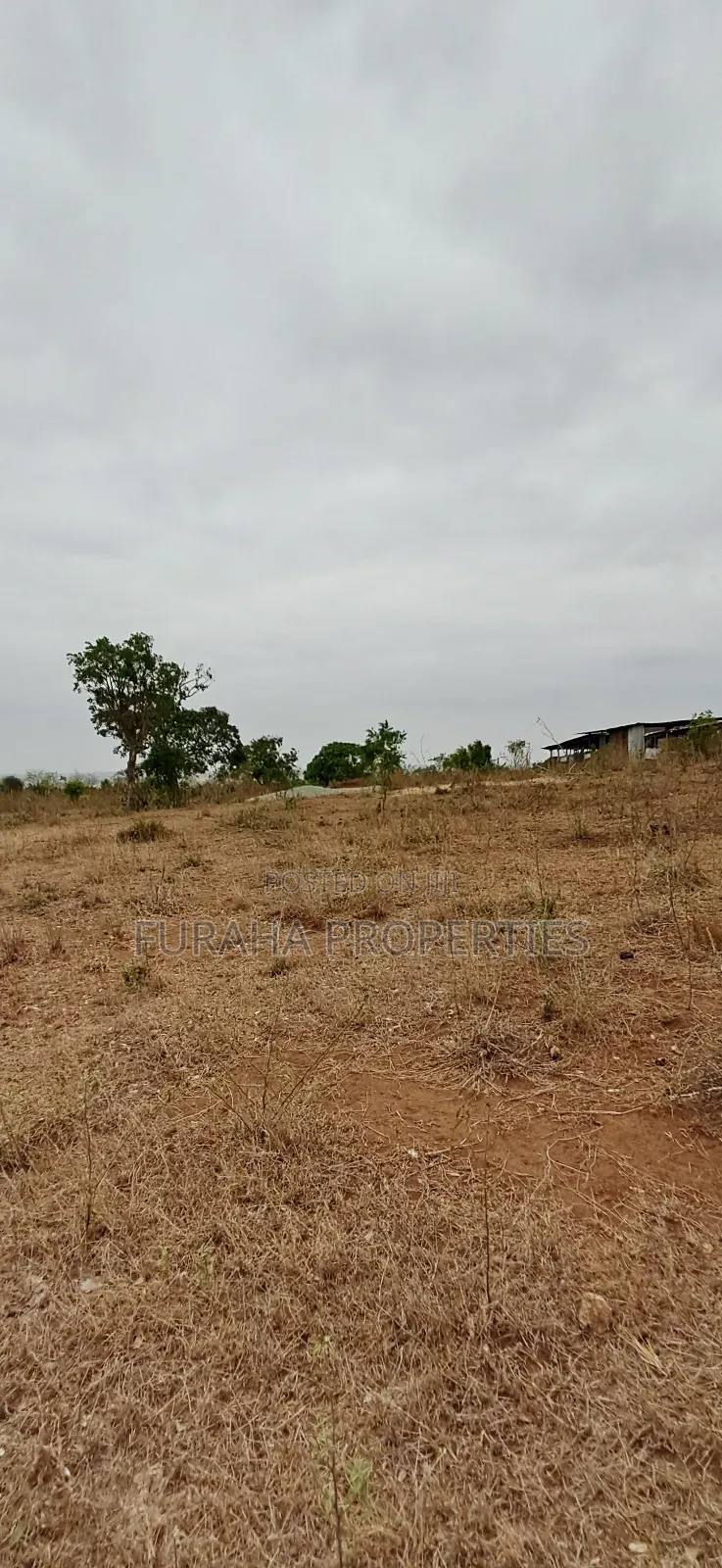 For Sale 3 Acres Prime Land Bonje Mazeras in Miritini
