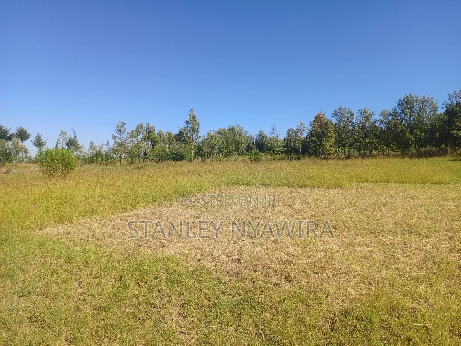 3 Acreas for Sale Nanyuki in Laikipia East