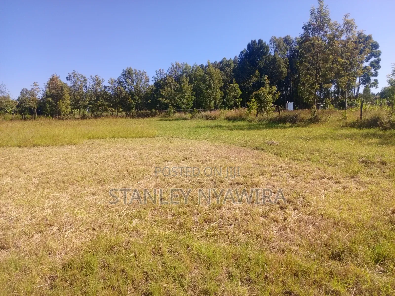 3 Acreas for Sale Nanyuki in Laikipia East