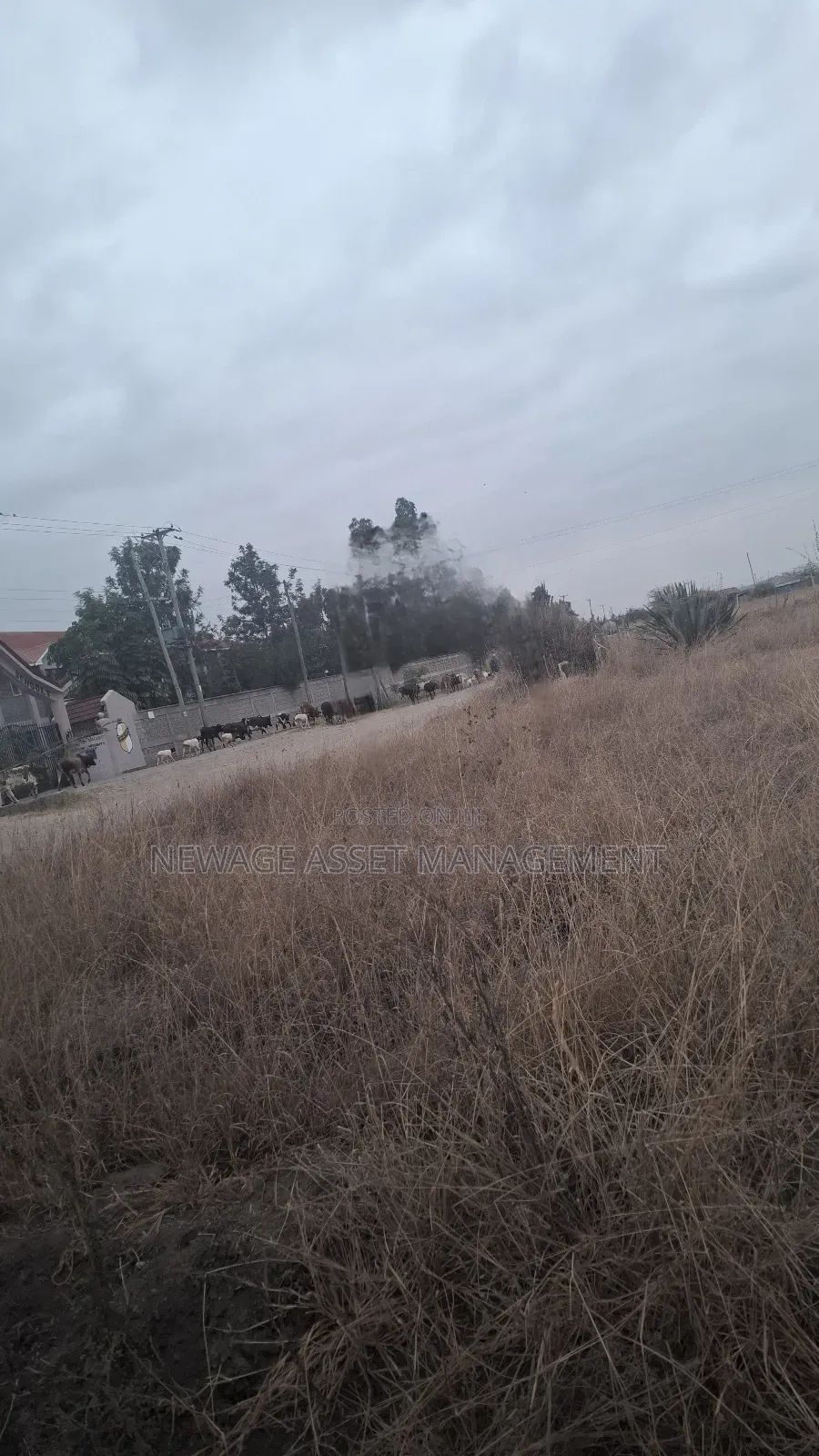 4 Contiguous Plots for Sale at Joska Bridgan in Joska