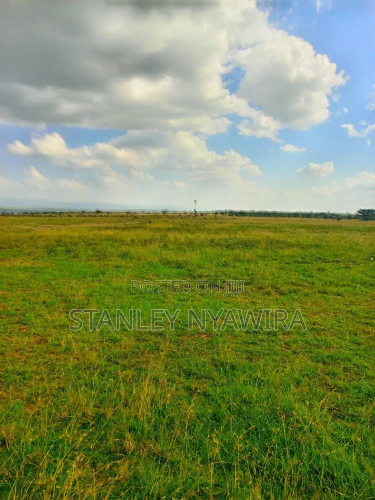 2 Acres Nanyuki Segera in Laikipia East