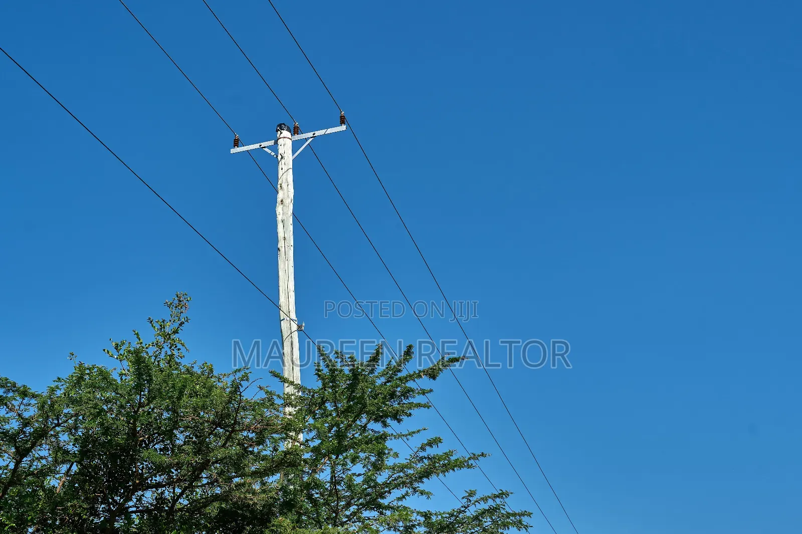 Prime Plots 50/100 Maiyan Nanyuki in Nanyuki