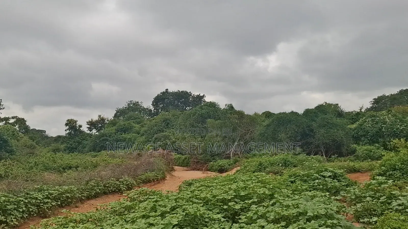 10 Acre Land for Sale in Machinery - Kambu. in Masongaleni