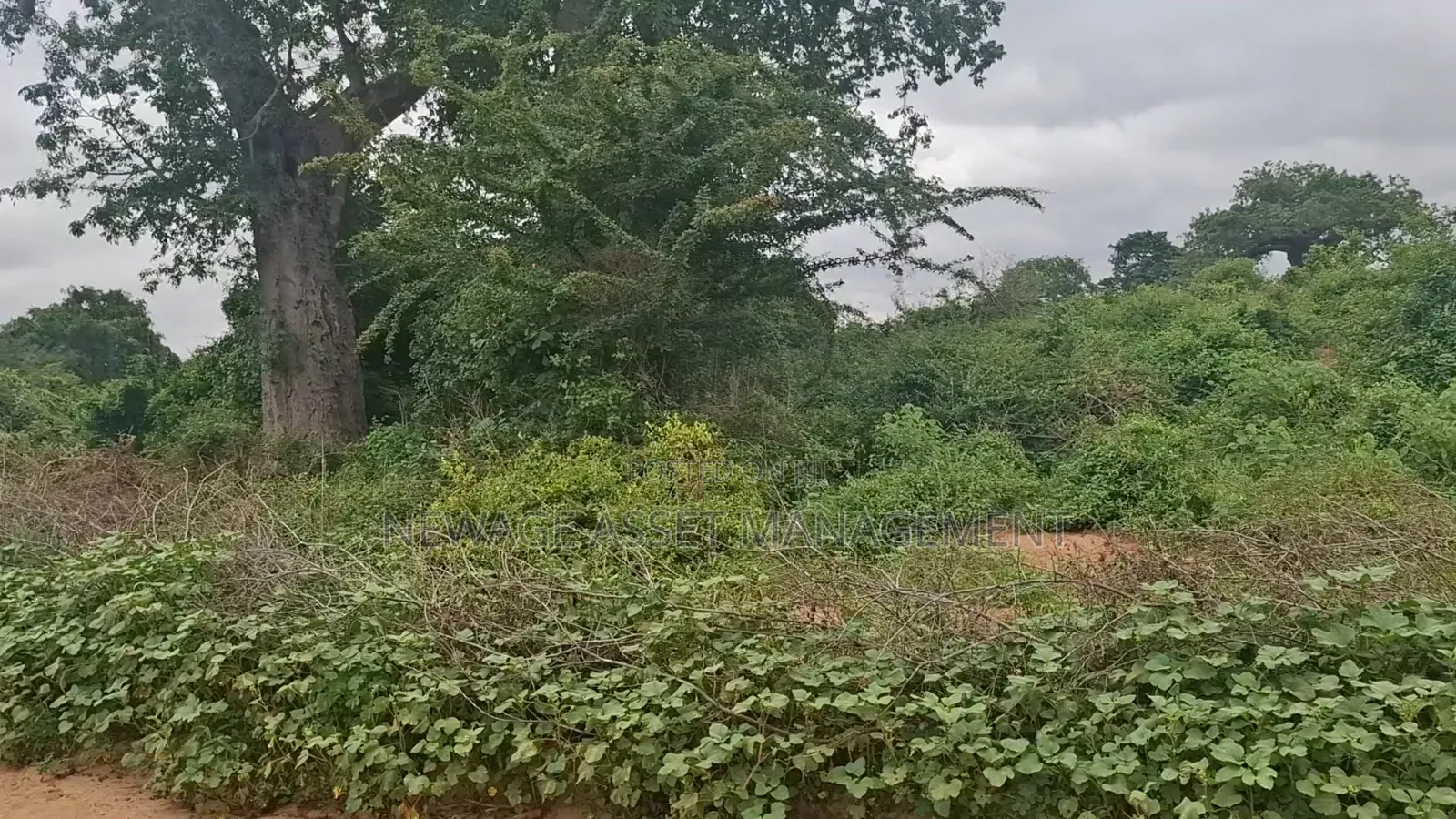 10 Acre Land for Sale in Machinery - Kambu. in Masongaleni