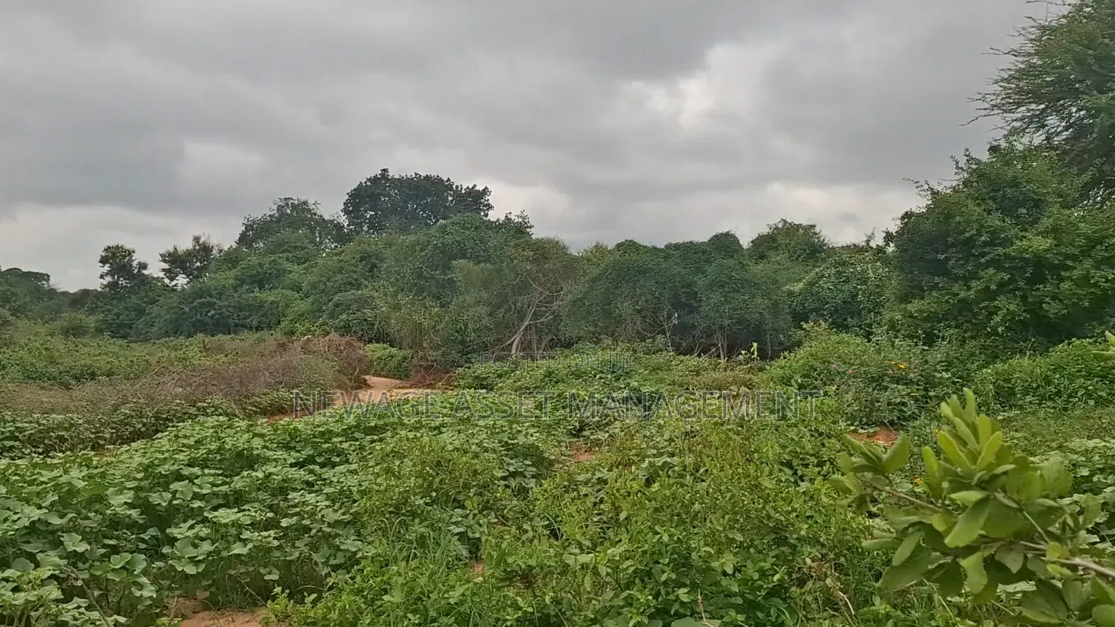 10 Acre Land for Sale in Machinery - Kambu. in Masongaleni