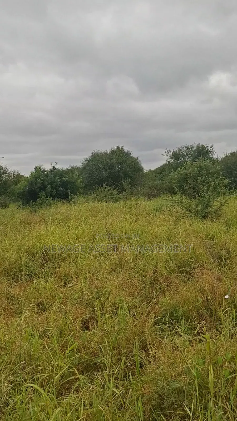 10 Acre Land for Sale in Machinery - Kambu. in Masongaleni