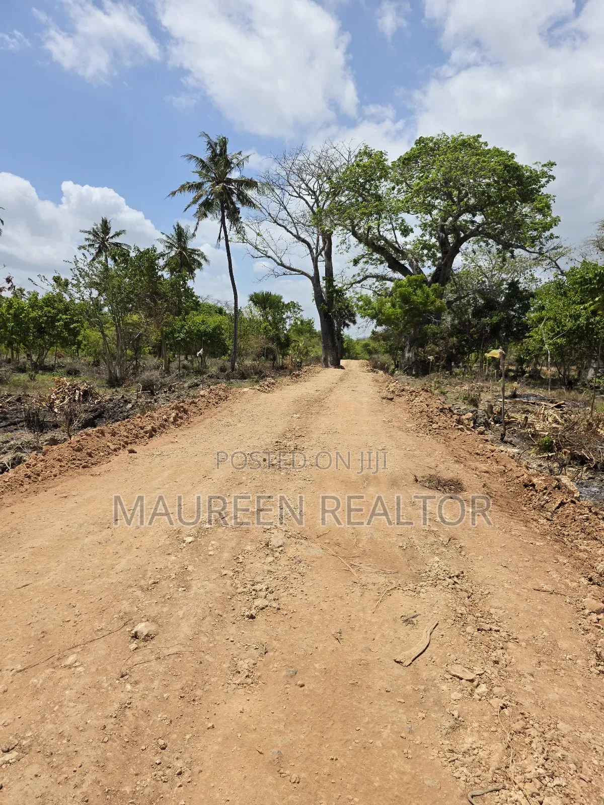 Beach Plots - Diani Galu in Diani