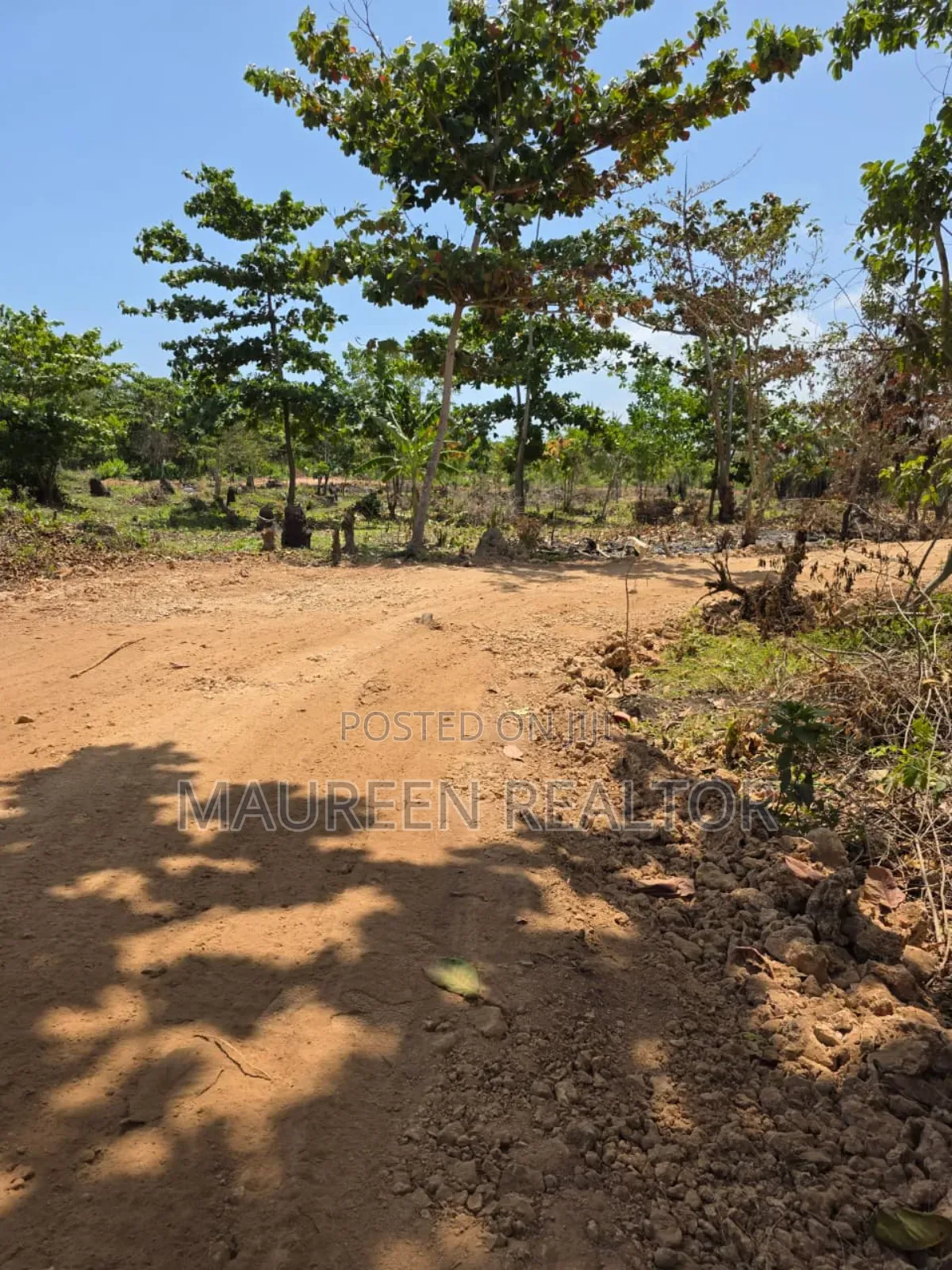 Beach Plots - Diani Galu in Diani