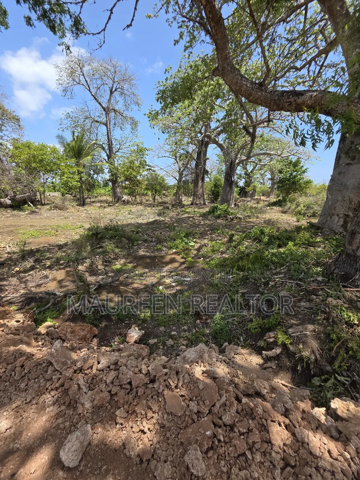 Beach Plots - Diani Galu in Diani