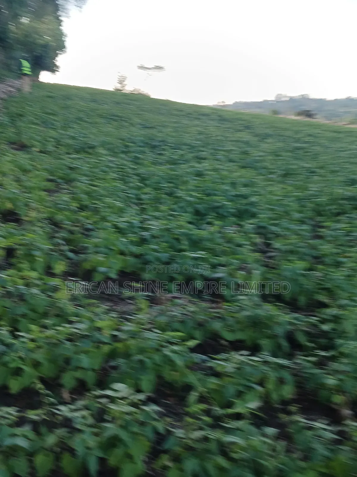 1.5acre Sale in Kapsabet in Kapsabet