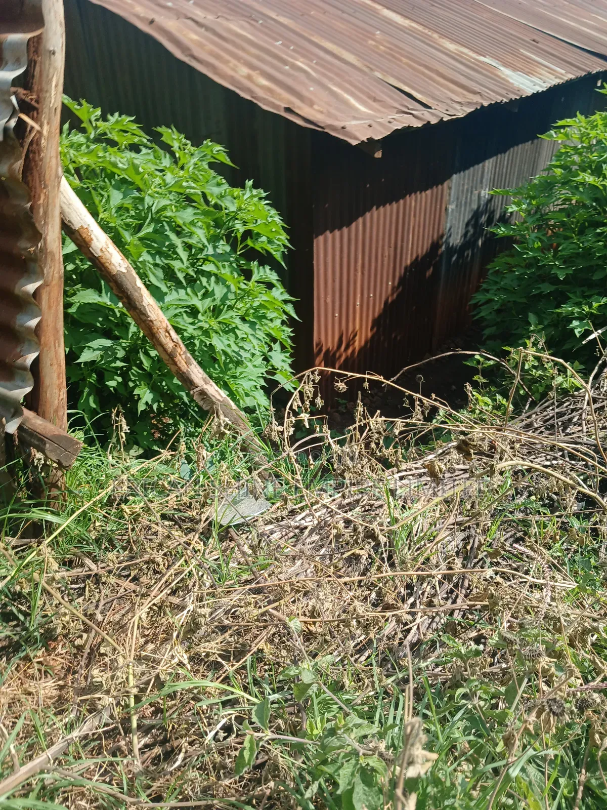 1/4 Land for Sale Wangige in Wangige
