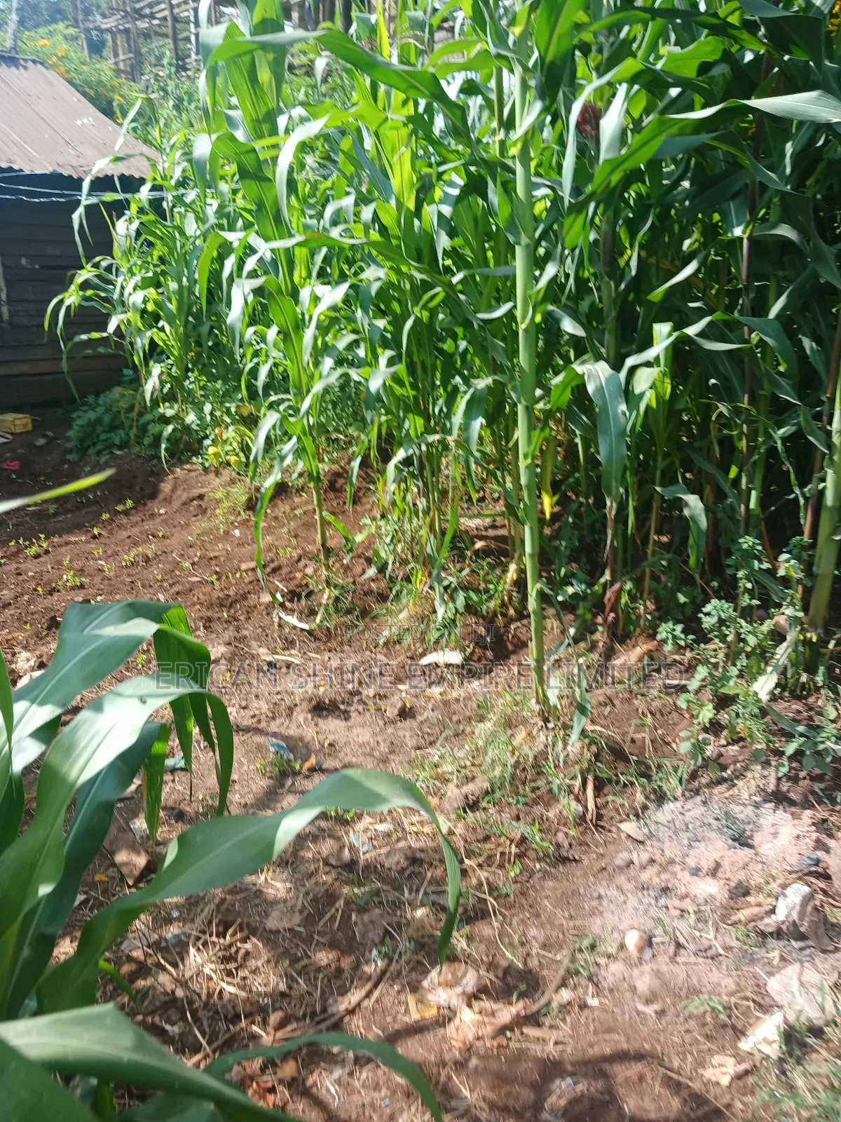 1/4 Land for Sale Wangige in Wangige