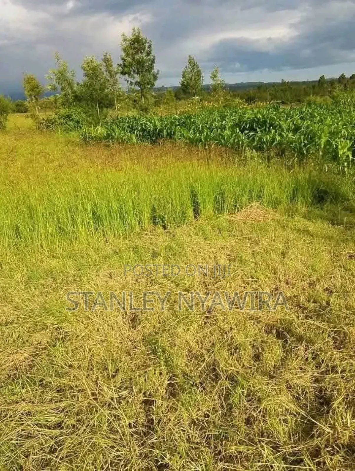 2 Acrea Narumoro Solio in Laikipia East