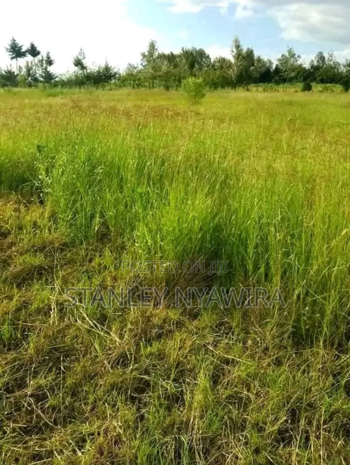 2 Acrea Narumoro Solio in Laikipia East