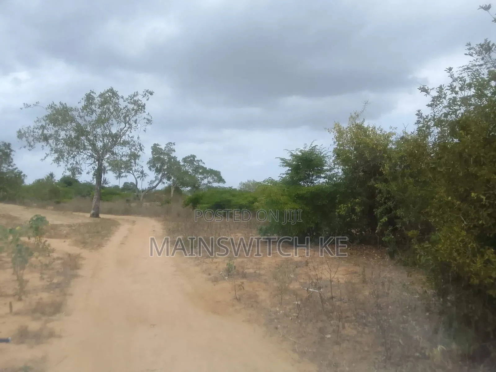 3 Acres With Adjudication Numbers Waiting for Tittle Deed for Sale in Magarini