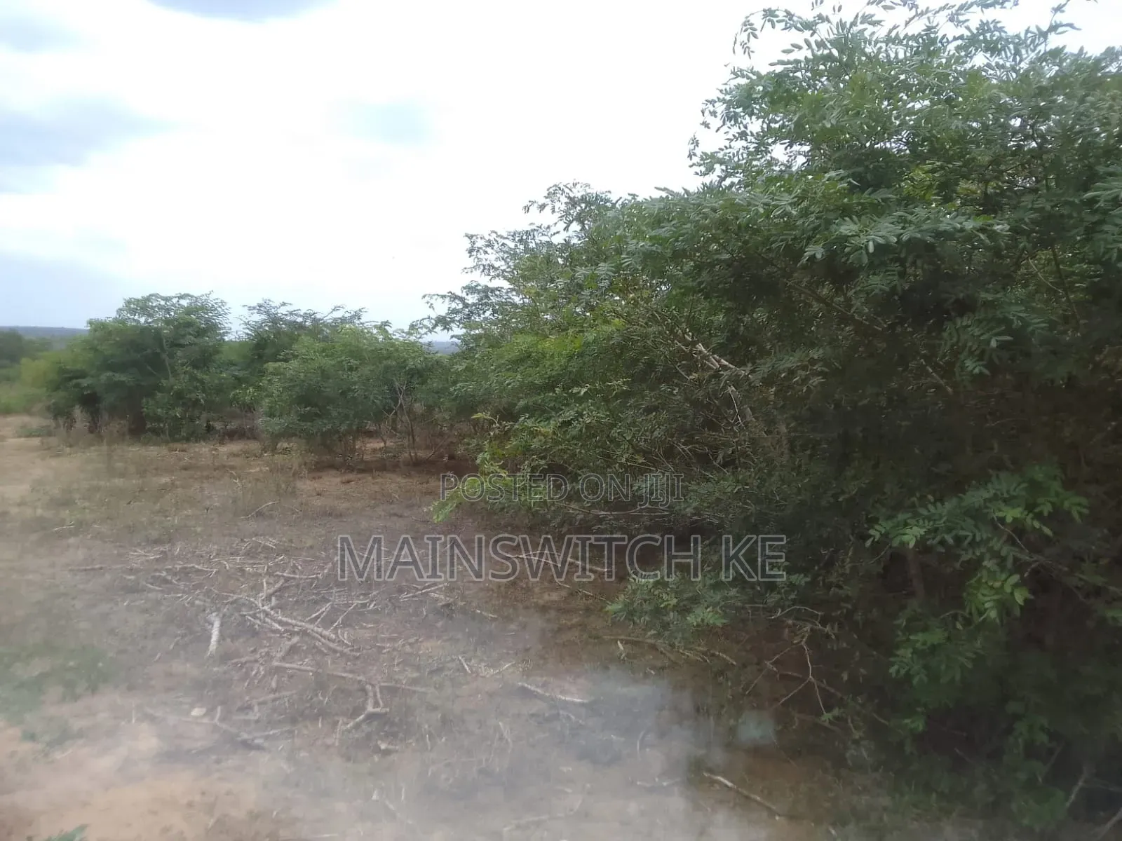 3 Acres With Adjudication Numbers Waiting for Tittle Deed for Sale in Magarini