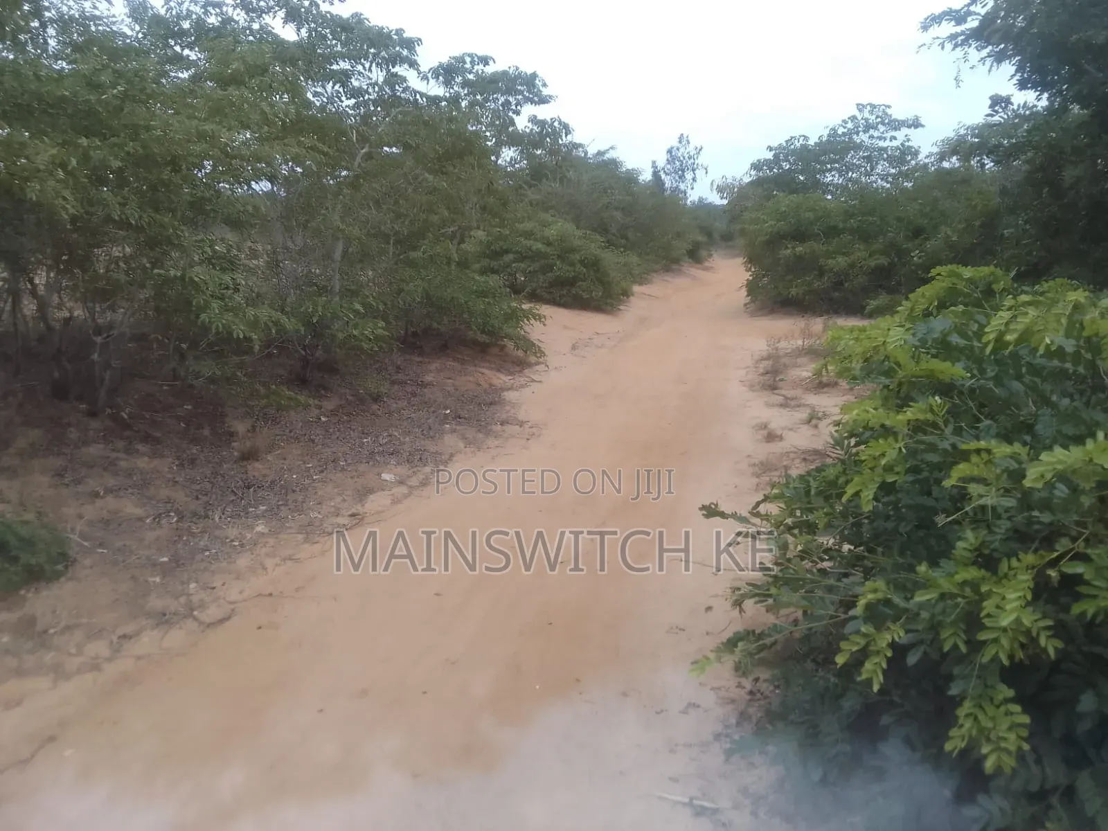3 Acres With Adjudication Numbers Waiting for Tittle Deed for Sale in Magarini