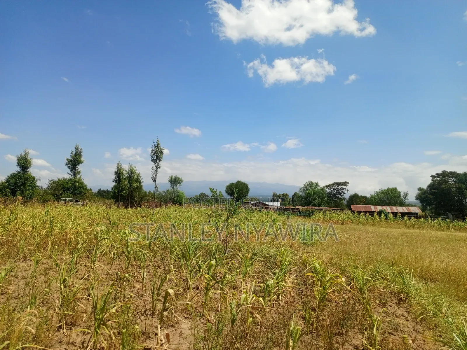 One Acre Behind Air Stip in Laikipia East