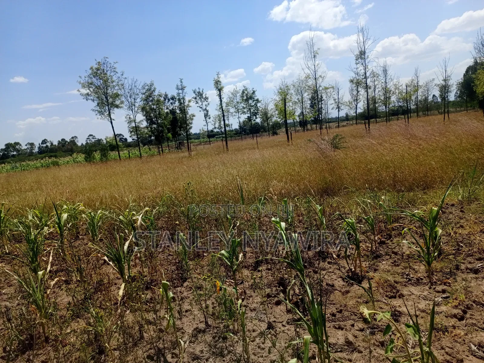One Acre Behind Air Stip in Laikipia East