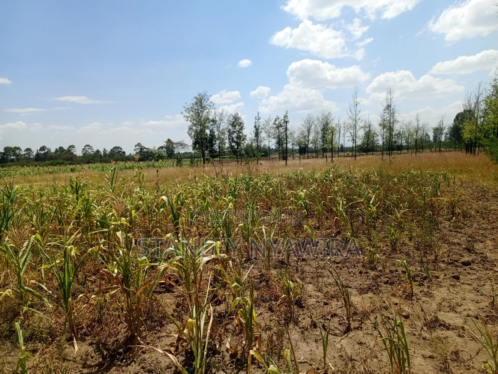 One Acre Behind Air Stip in Laikipia East