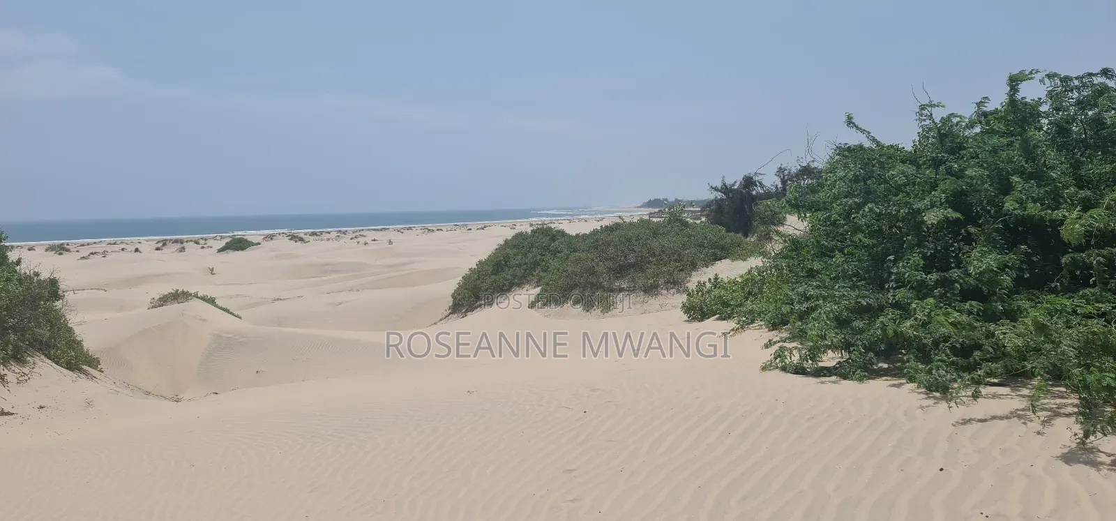 4 Acres for Sale at Mambrui Malindi in Malindi