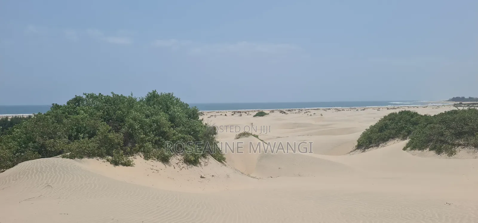 4 Acres for Sale at Mambrui Malindi in Malindi
