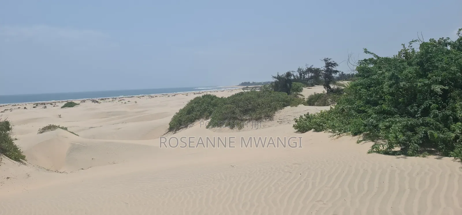 4 Acres for Sale at Mambrui Malindi in Malindi