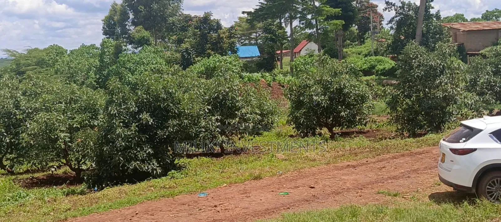 225 Acres on Sale at Thika Near Delmonte in Makongeni / Thika