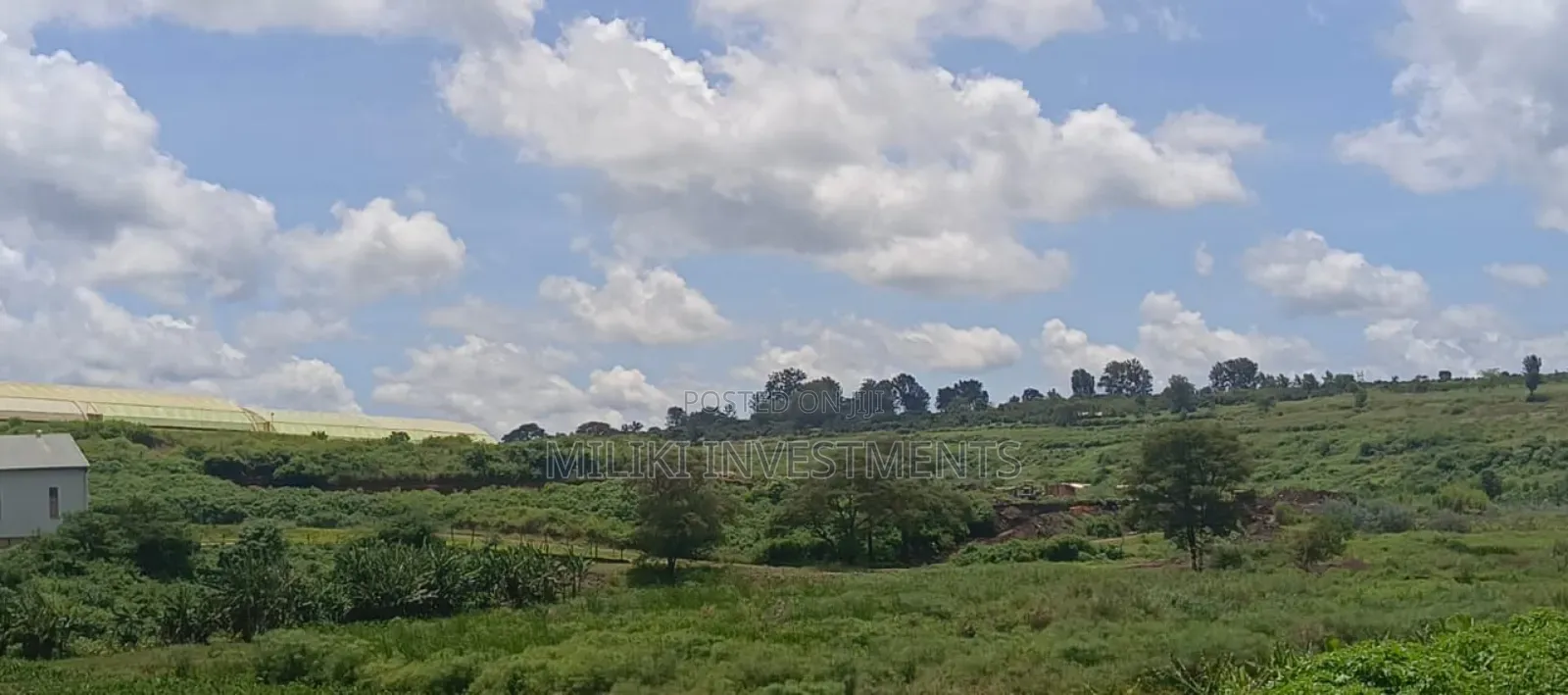 225 Acres on Sale at Thika Near Delmonte in Makongeni / Thika