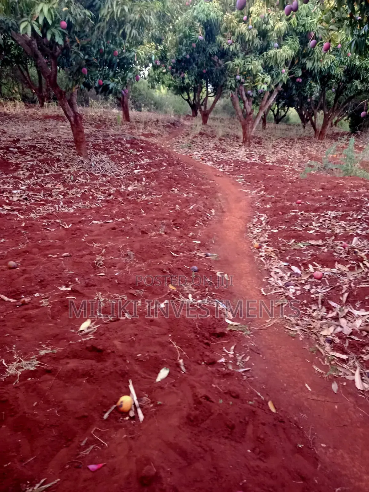 4 Acres of Land on Sale at Makuyu-Murang'A in Makuyu