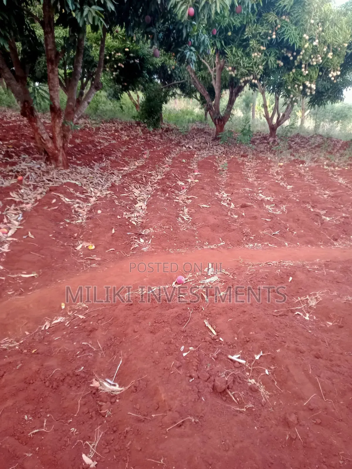 4 Acres of Land on Sale at Makuyu-Murang'A in Makuyu