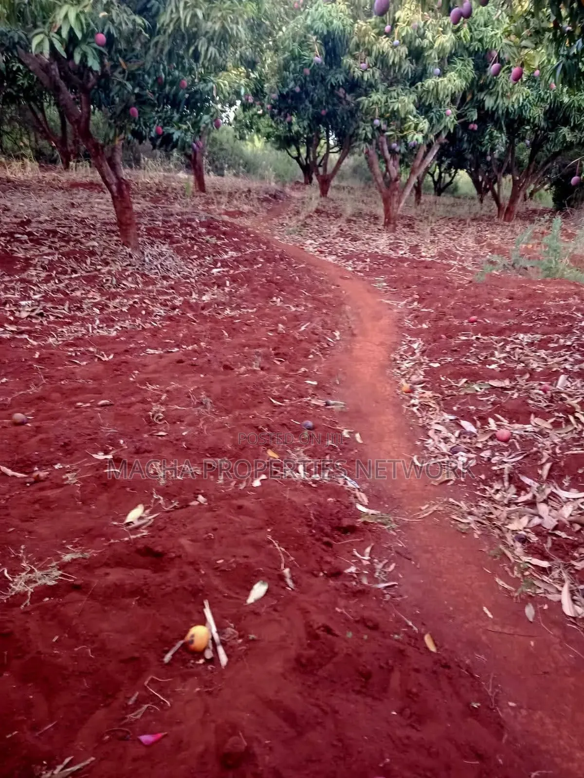 4 Acres Murang'a Makuyu for Sale in Makuyu
