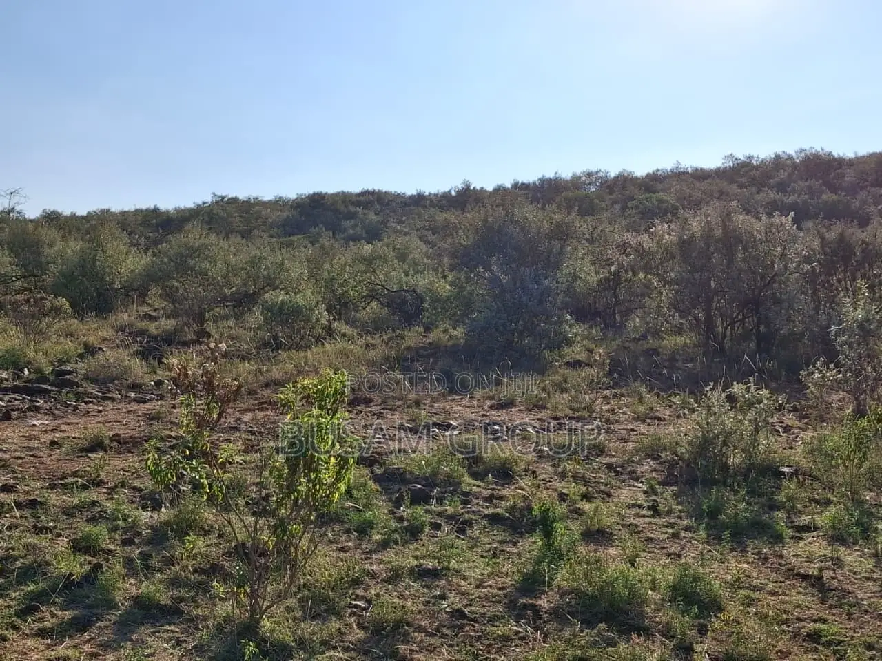 10 Acres for Sale at Ngong Kimuka in Kibiku