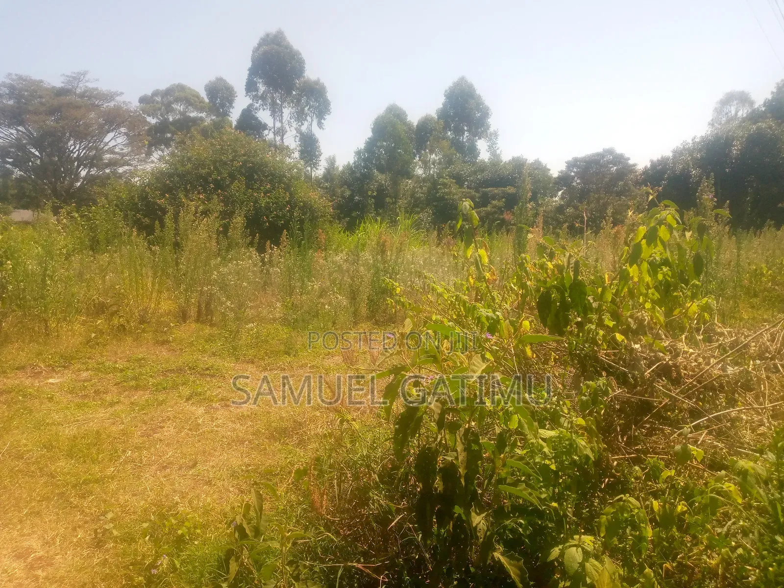 2.25 Acre Land for Sale Kanunga Kiambu in Karuri