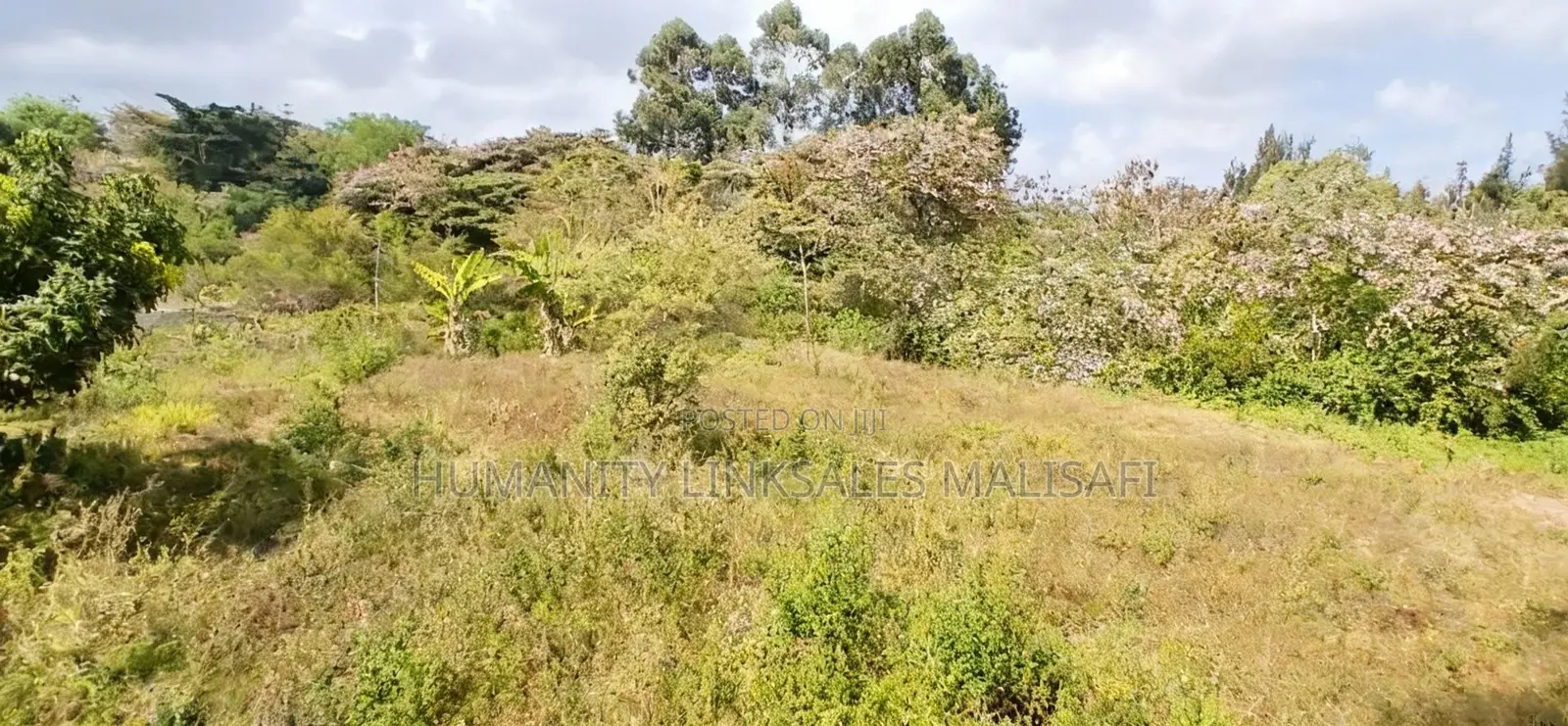 Greenfields Mugumo Residents,Virgin 1/2 Acres Land. Hot Sell in Mugumo-Ini