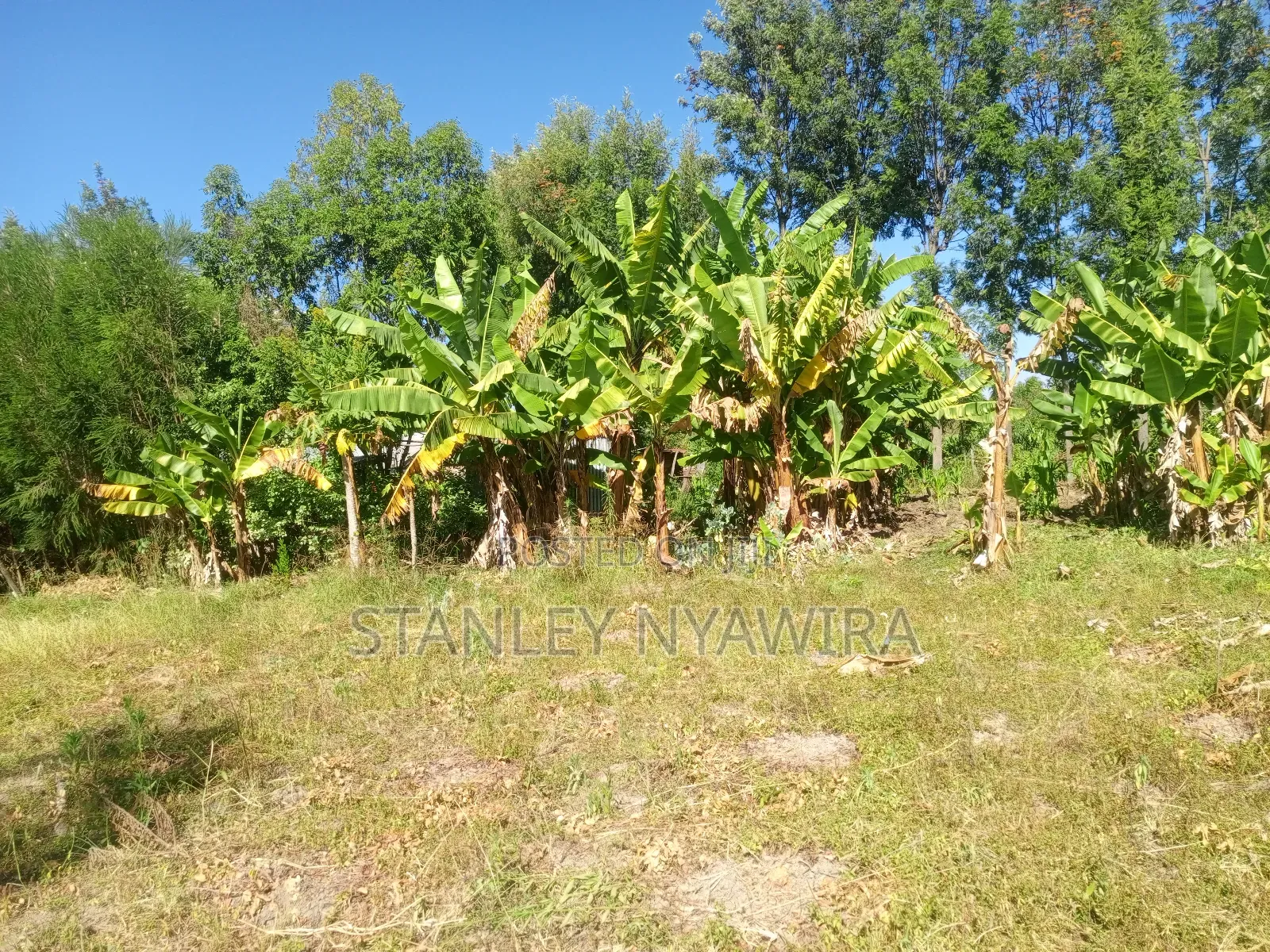 One Acre Behind Airstrip in Laikipia East