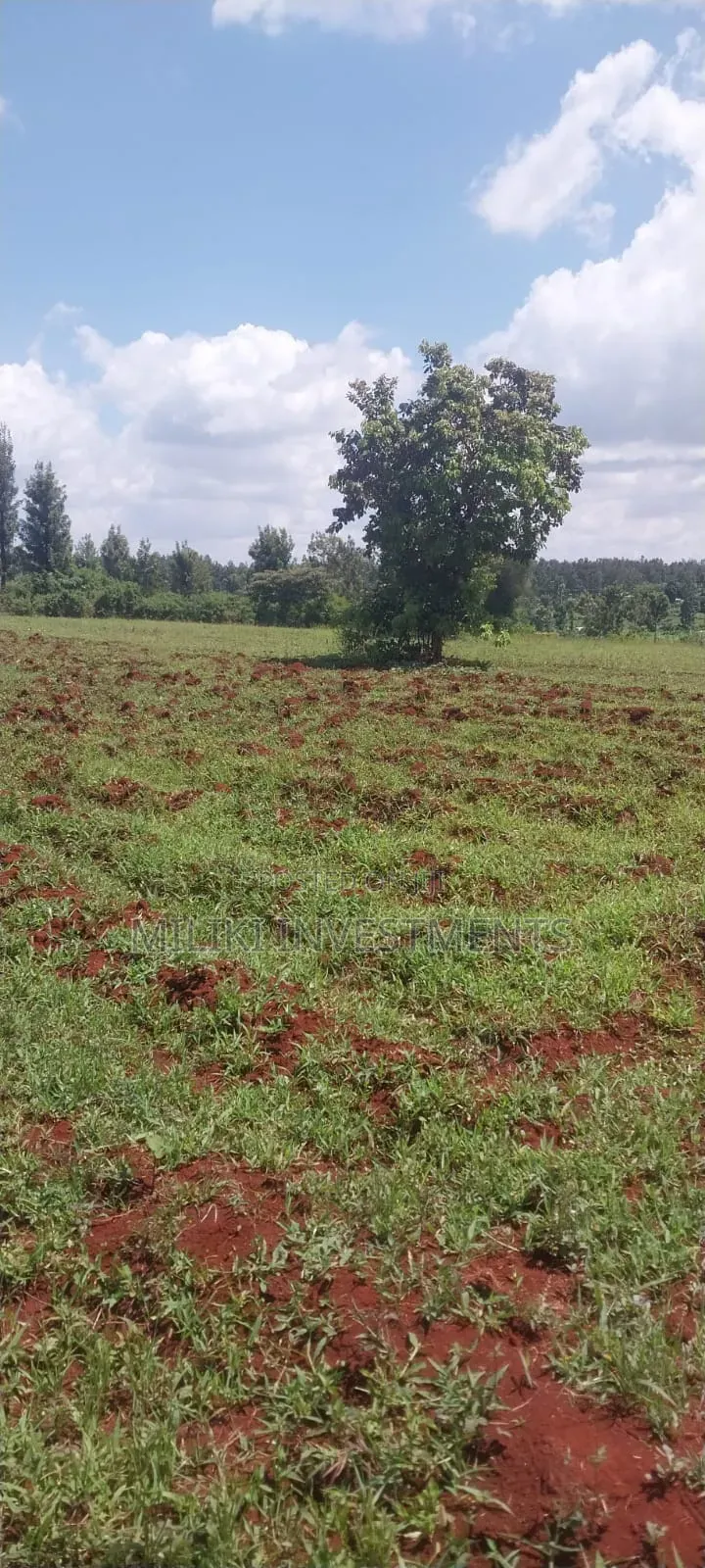 8 Acres on Sale at Makatuno-Sagana in Rongai