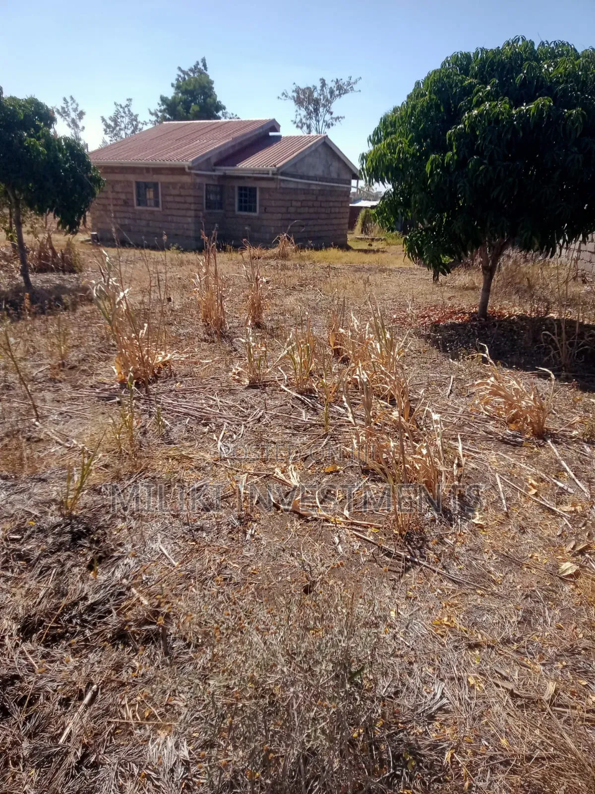 An Acre With House on Sale at Malaa. in Malaa