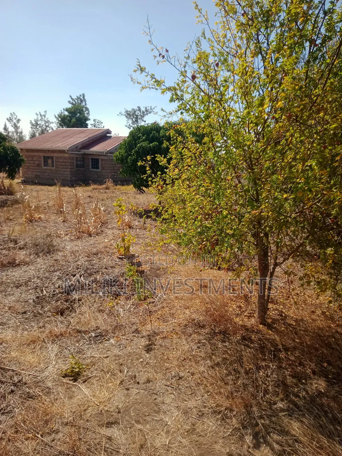 An Acre With House on Sale at Malaa. in Malaa