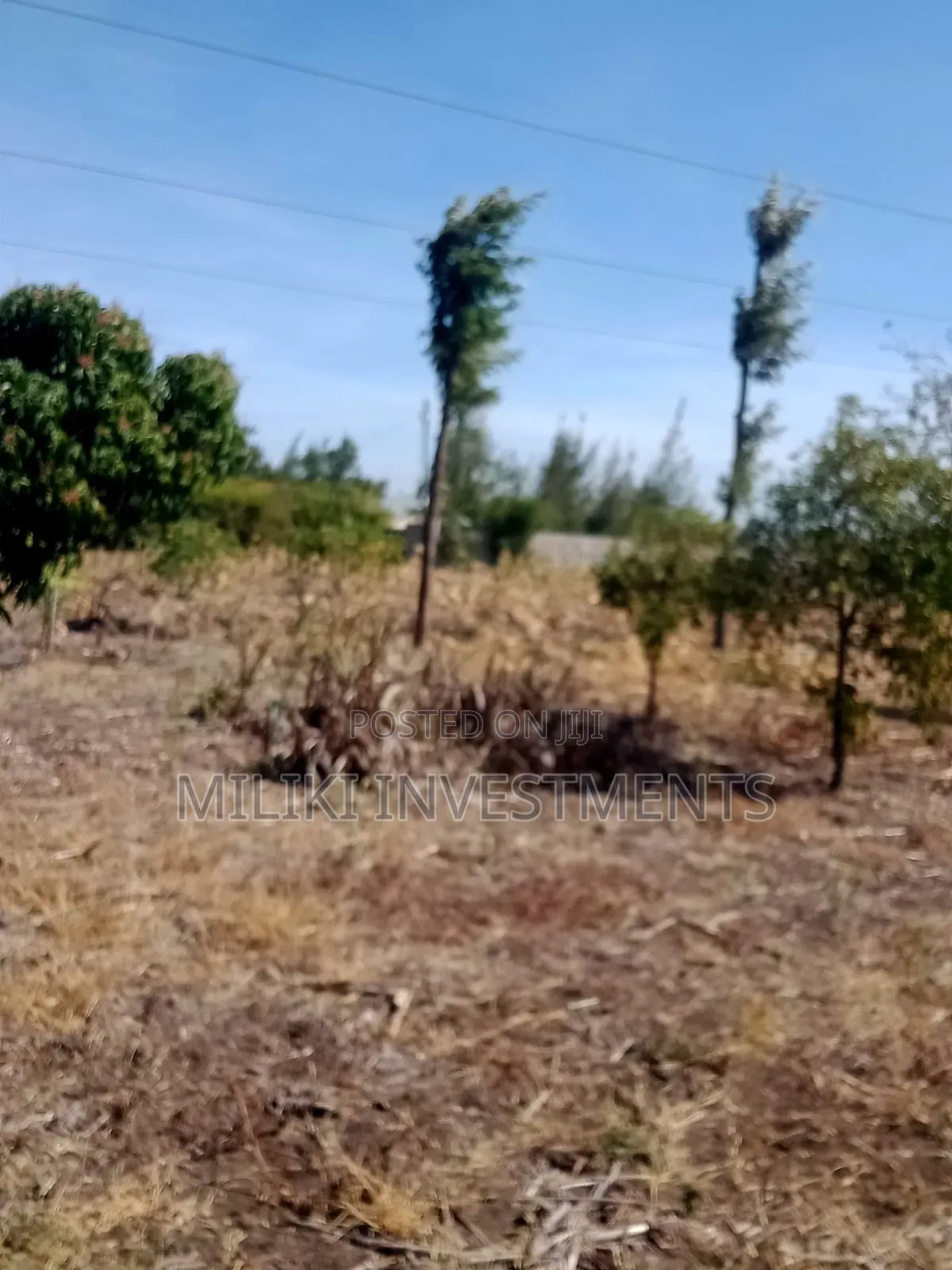 An Acre With House on Sale at Malaa. in Malaa